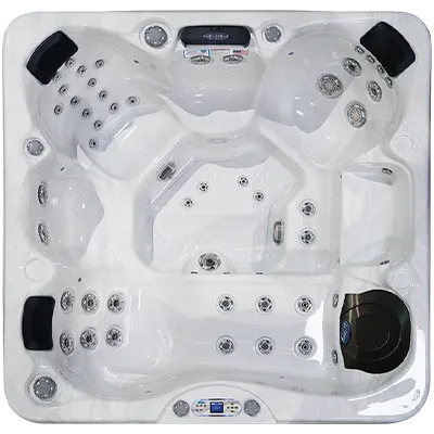 Avalon EC-849L hot tubs for sale in Fishers