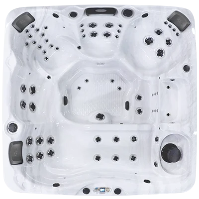 Avalon EC-867L hot tubs for sale in Fishers